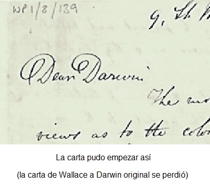 carta de wallace